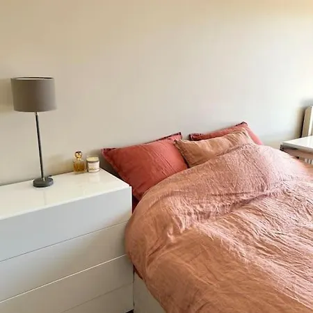 Apartment A 2 Pas Du Centre De *